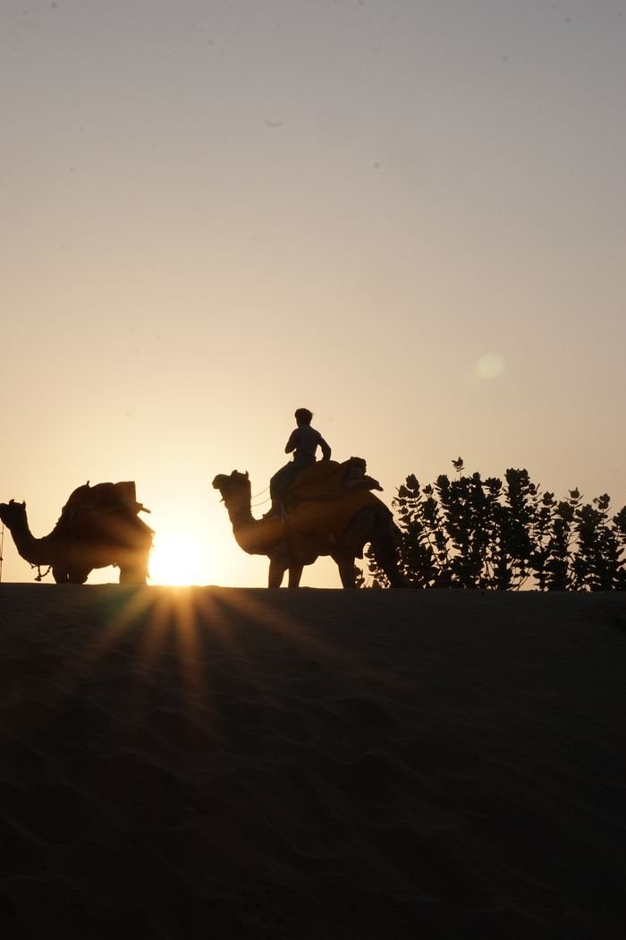 Silhouettes of camels and riders against a desert sunset, capturing peaceful journey.