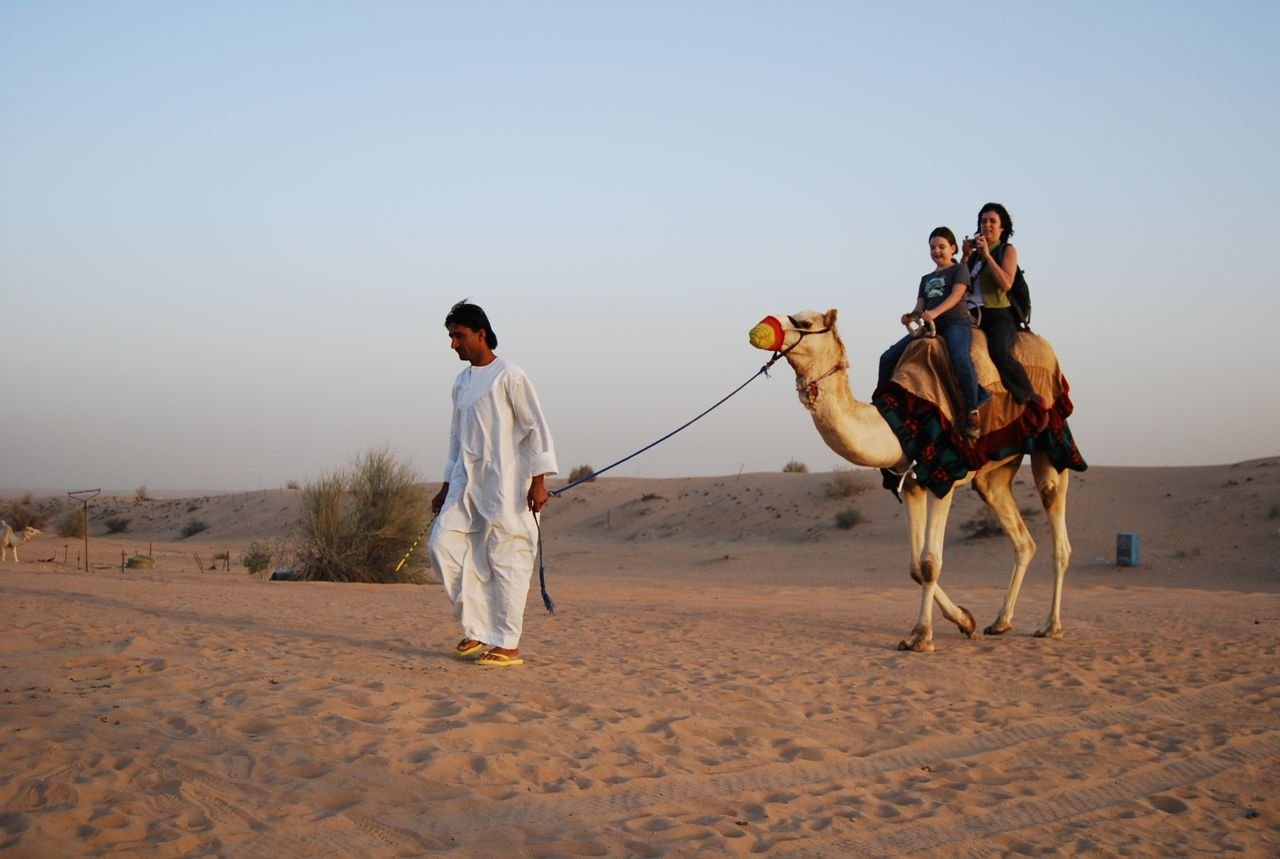 Experience a traditional camel ride during sunset in the vast Dubai desert.