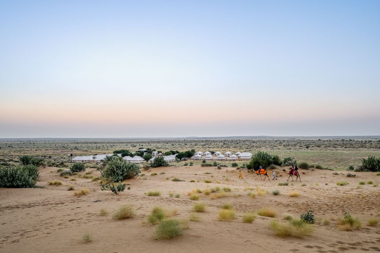 A scenic view of a camel caravan near tents at sunset in the Thar Desert, Jaisalmer.